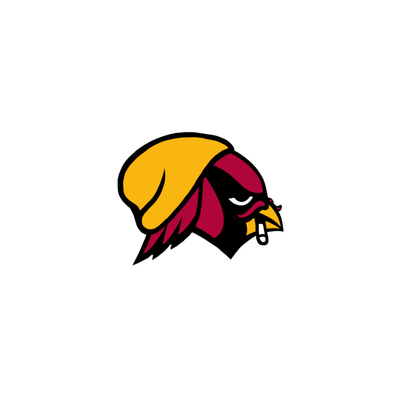 Arizona Cardinals Hipsters Logo iron on transfers...